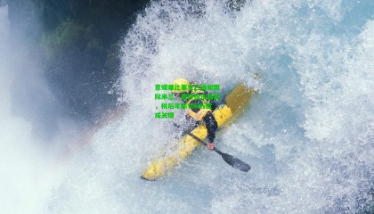 意媒曝比塞克已通知国际米兰，愿转投水晶宫，税后年薪500万欧成关键