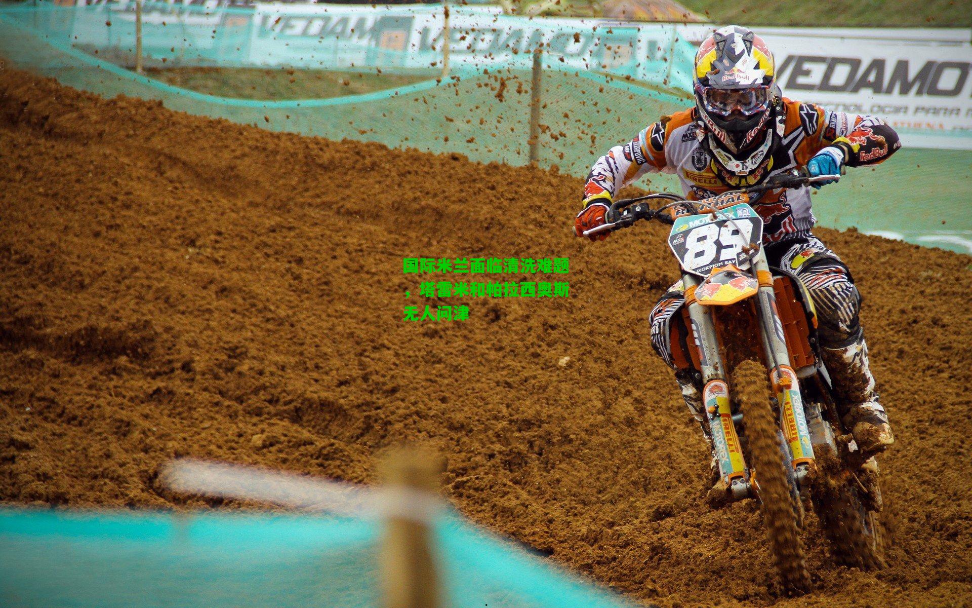 国际米兰面临清洗难题，塔雷米和帕拉西奥斯无人问津