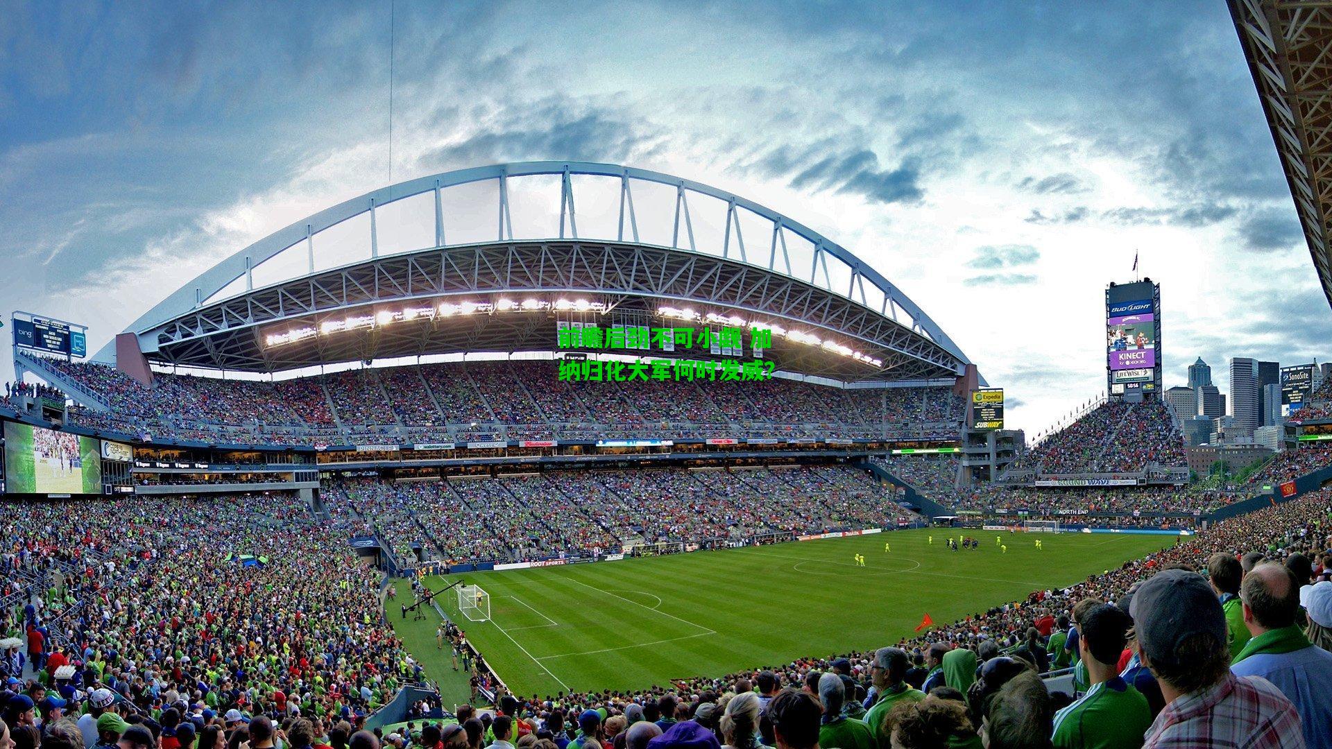 前瞻后劲不可小觑 加纳归化大军何时发威?