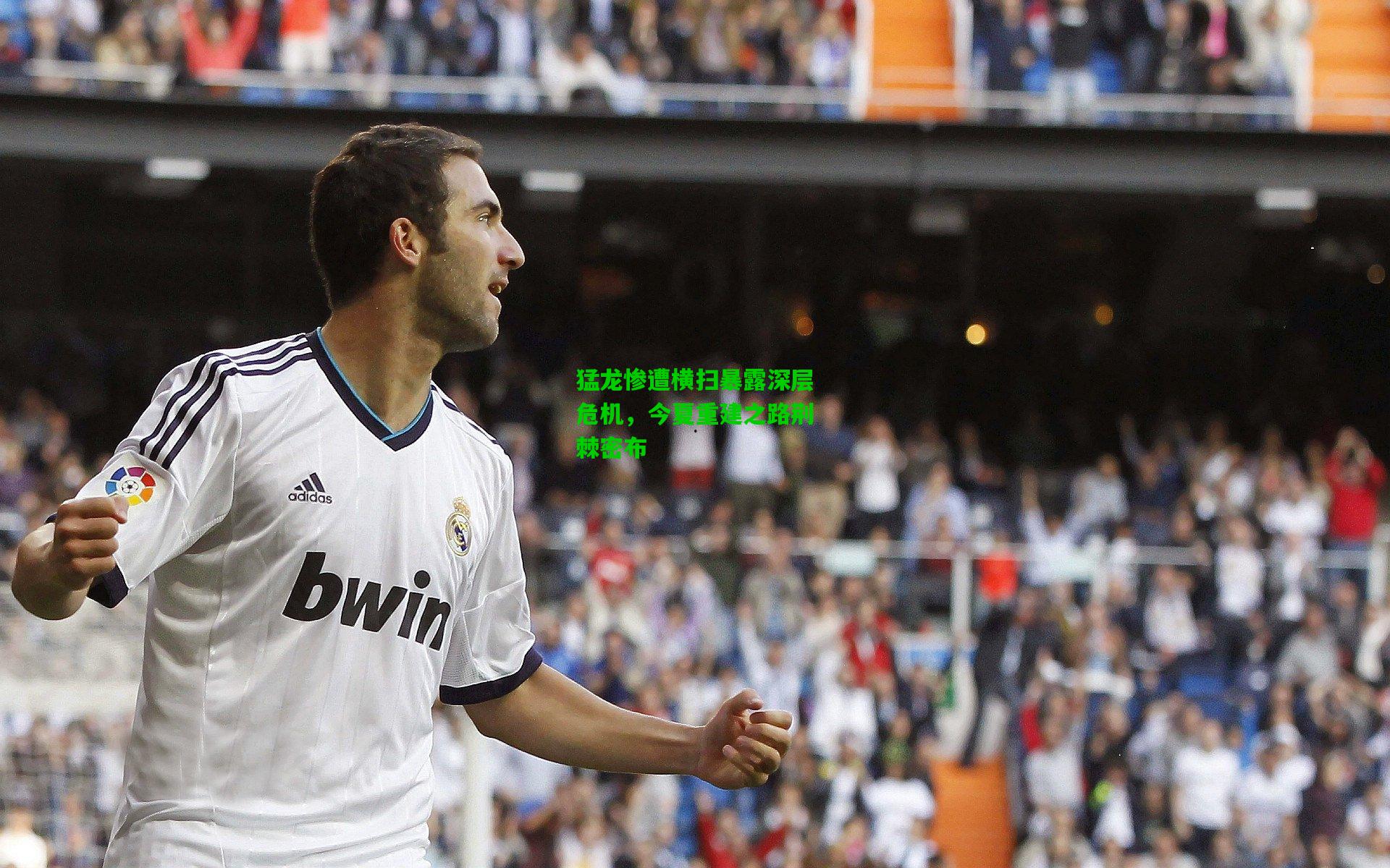 猛龙惨遭横扫暴露深层危机,今夏重建之路荆棘密布