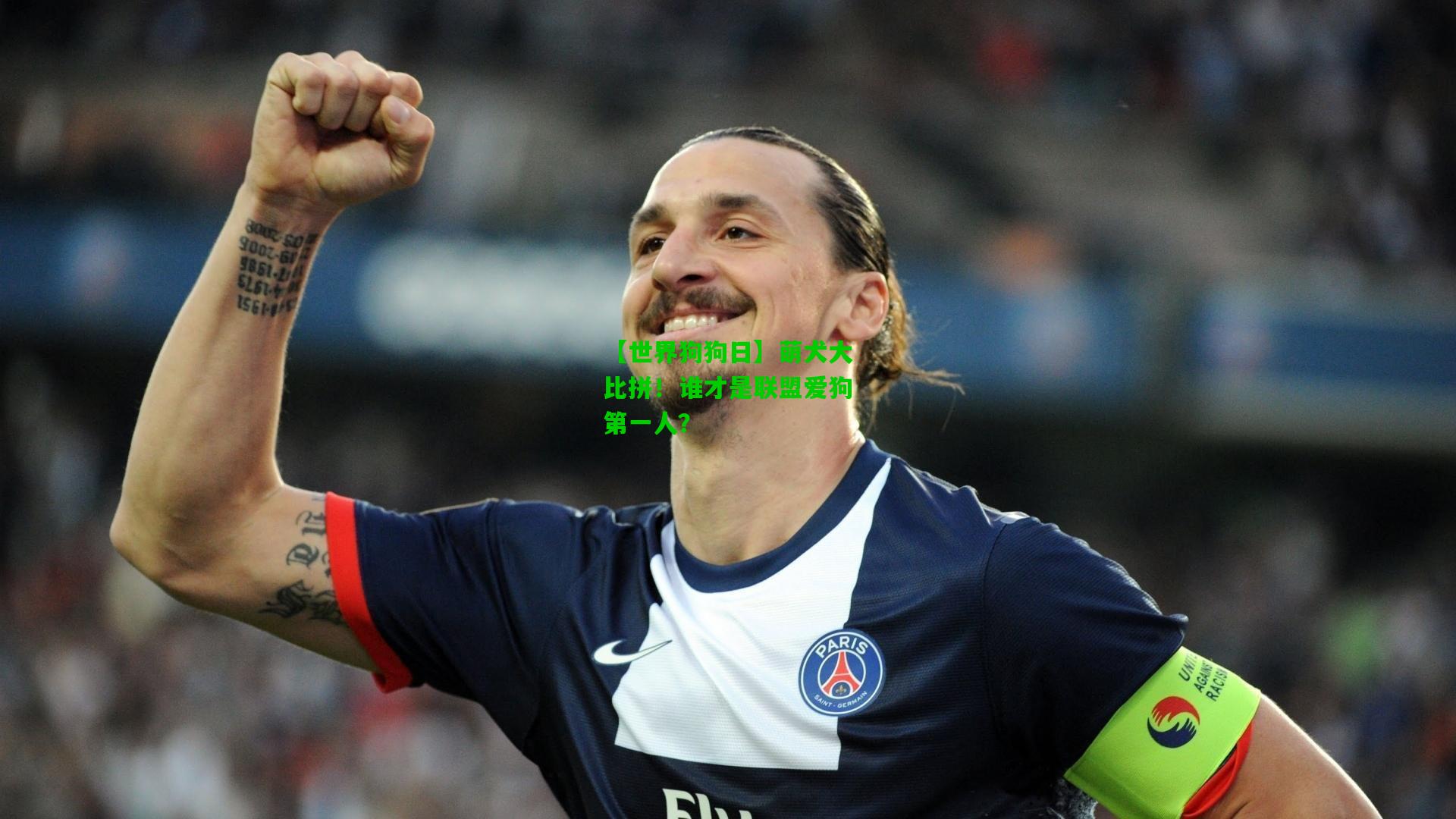 【世界狗狗日】萌犬大比拼!谁才是联盟爱狗第一人?